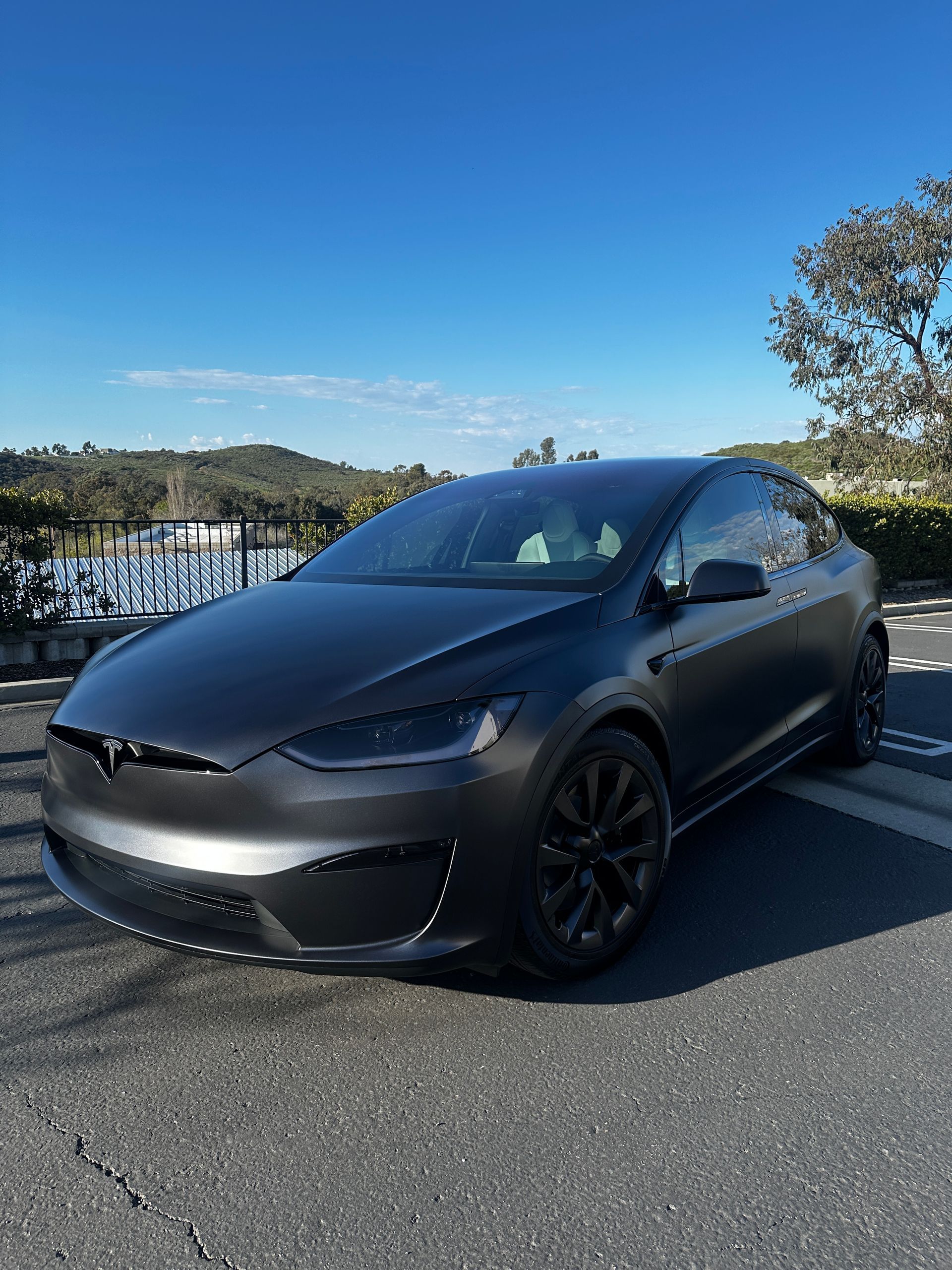 A black tesla model x is parked on the side of the road.
