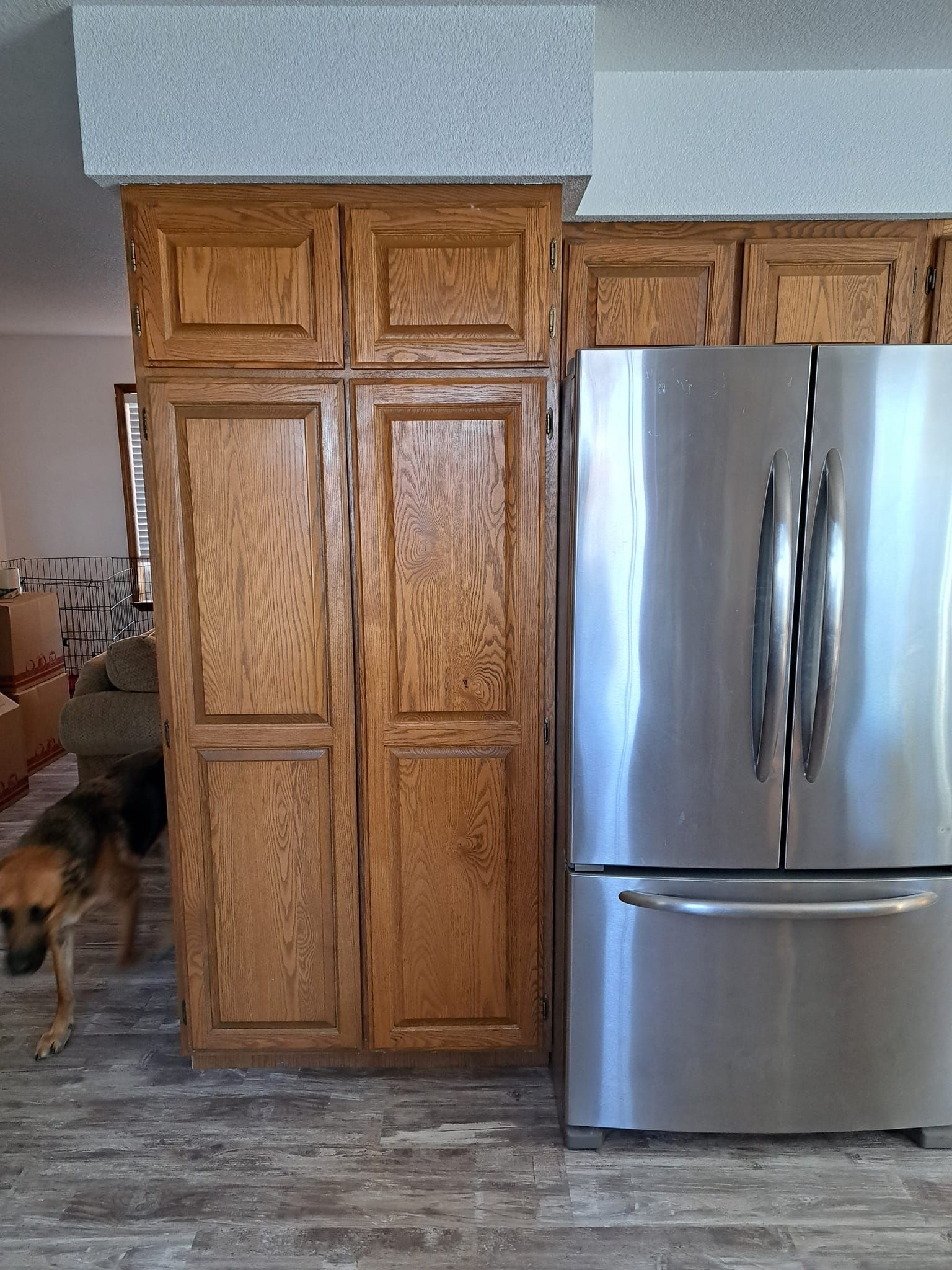 A stainless steel refrigerator stands next to floor-to-ceiling oak cabinets in a home, with a dog standing to the left.