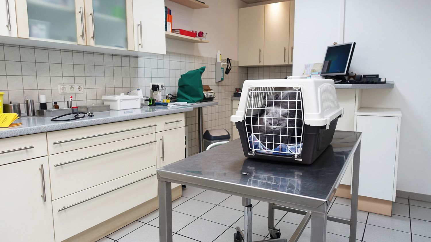 Epoxy Flooring White Plains, NY Empire State Epoxy