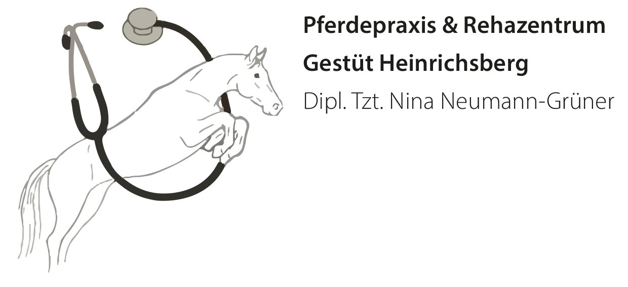 Logo Pferdepraxis