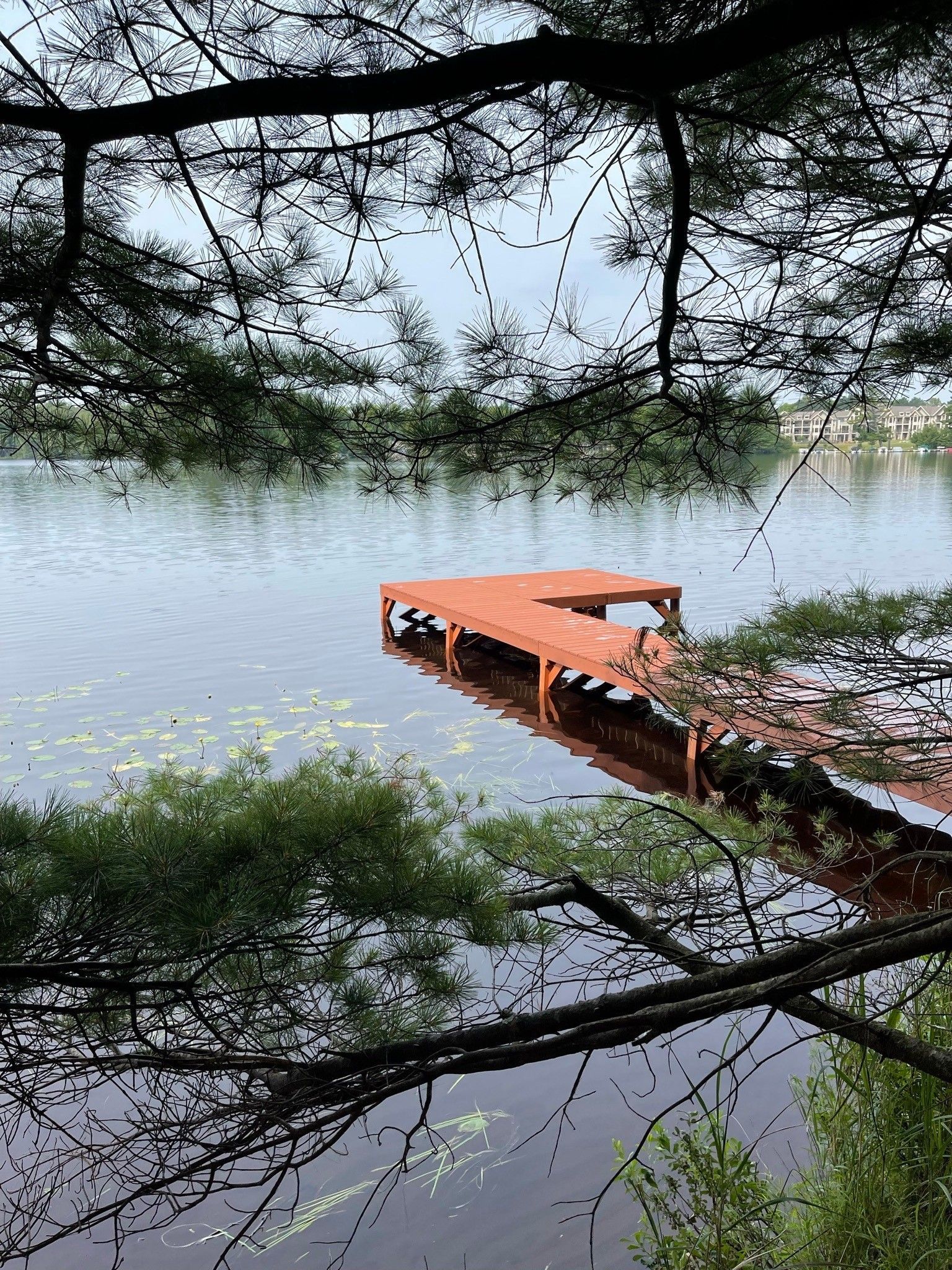 A red wooden dock extends into a calm, lily-pad-dotted lake, framed by overhanging tree branches.