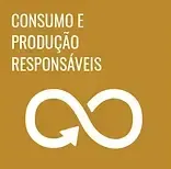 Ícone de consumo e produção responsáveis em fundo marrom, com símbolo branco de infinito e texto em português.