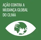 Green climate action poster with a white eye and globe, reading “Ação contra a mudança global do clima.”