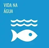 Placa azul com peixes brancos e ondas, com a inscrição “VIDA NA ÁGUA”.