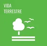Ícone verde com árvore branca, pássaros e o texto “VIDA TERRESTRE” acima de três linhas horizontais.