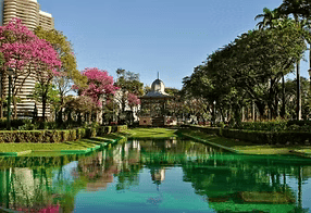 Canal verdejante e reflexivo em um parque ajardinado com palmeiras e árvores floridas rosadas sob um céu claro.