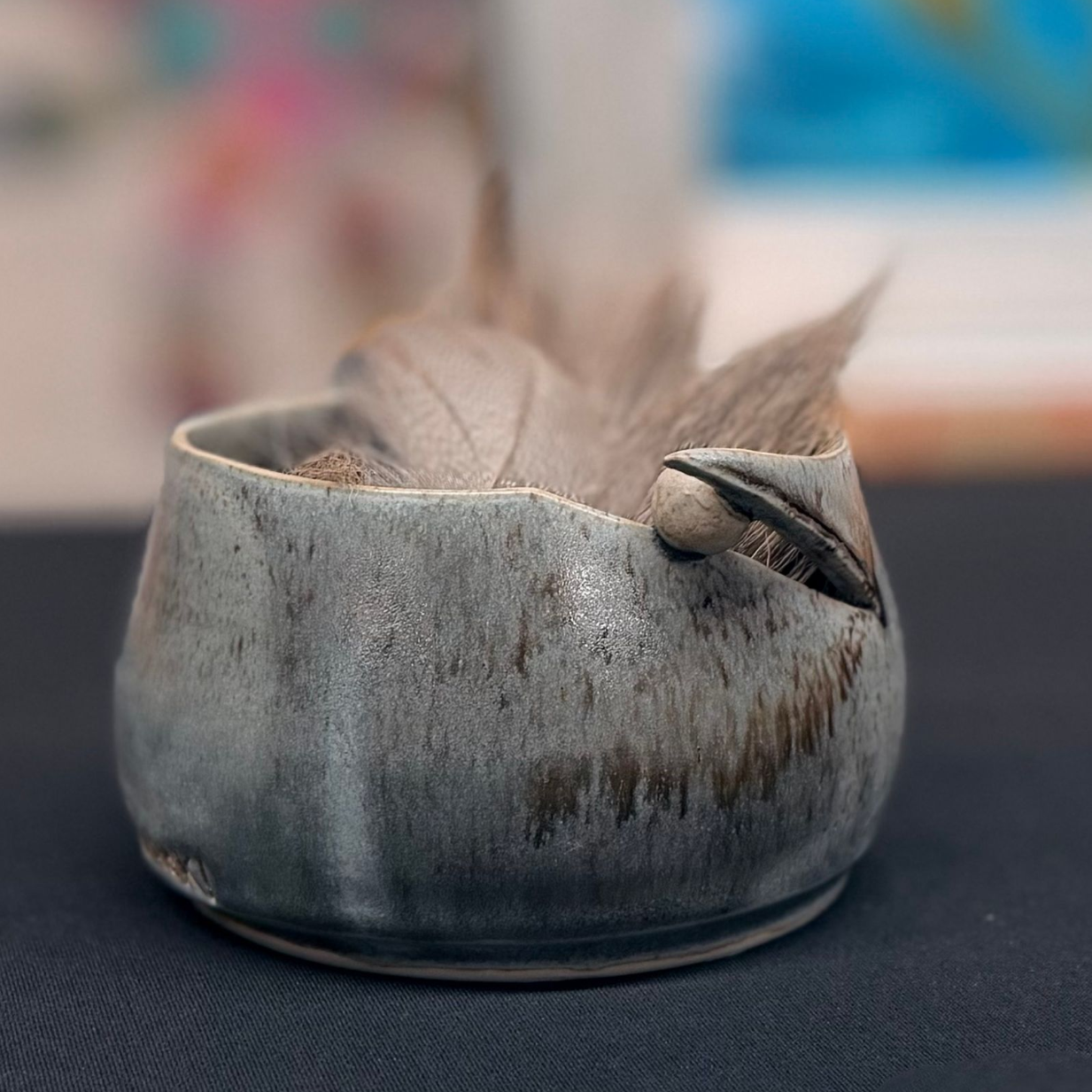 Custom made bowl with feathers inside it