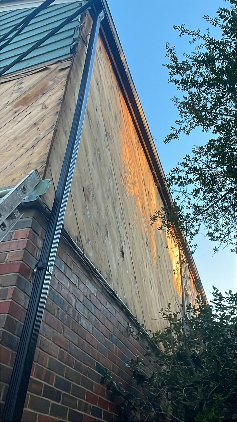Brick building exterior with wooden siding and green roof. Sunlight illuminates the side.