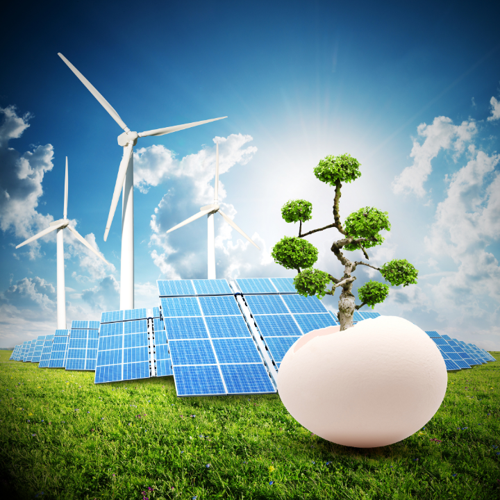 A tree is growing out of an egg in front of solar panels and wind turbines