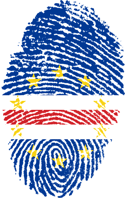 A fingerprint in the shape of the flag of cape verde