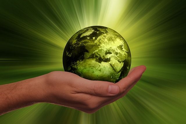 A person is holding a green globe in their hand.