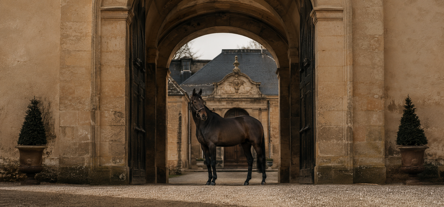The Equestrian Brand House
