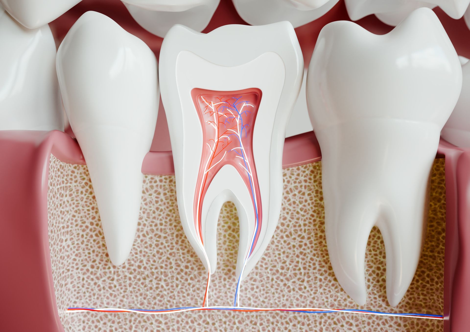 Endodonzia