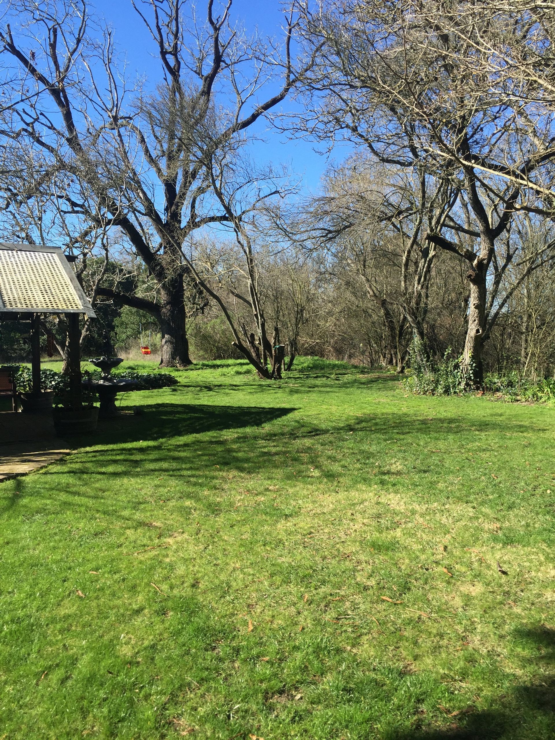 There is a gazebo in the middle of a lush green field surrounded by trees.