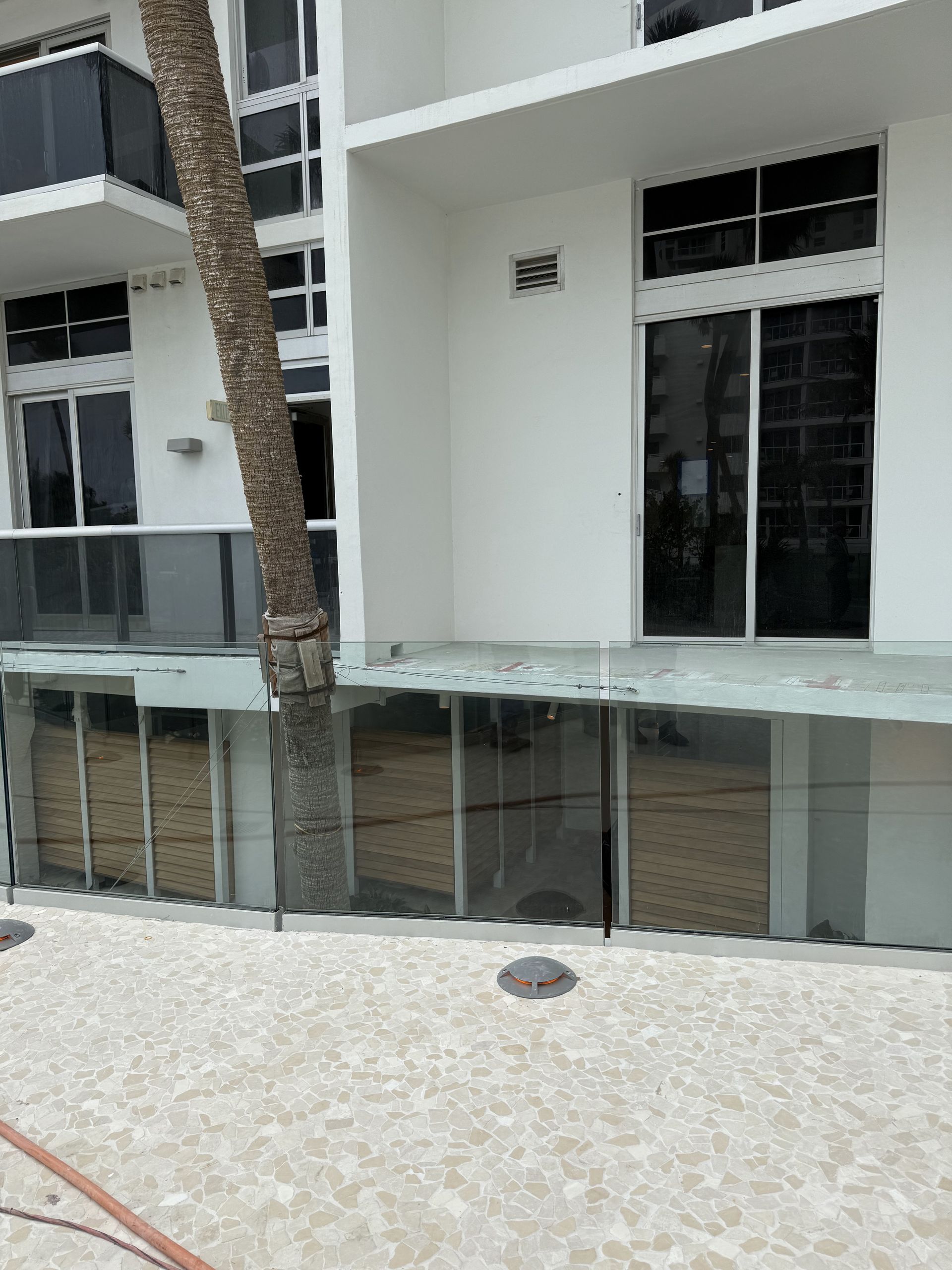 Palm tree growing next to a white building with large windows and a pebble walkway.