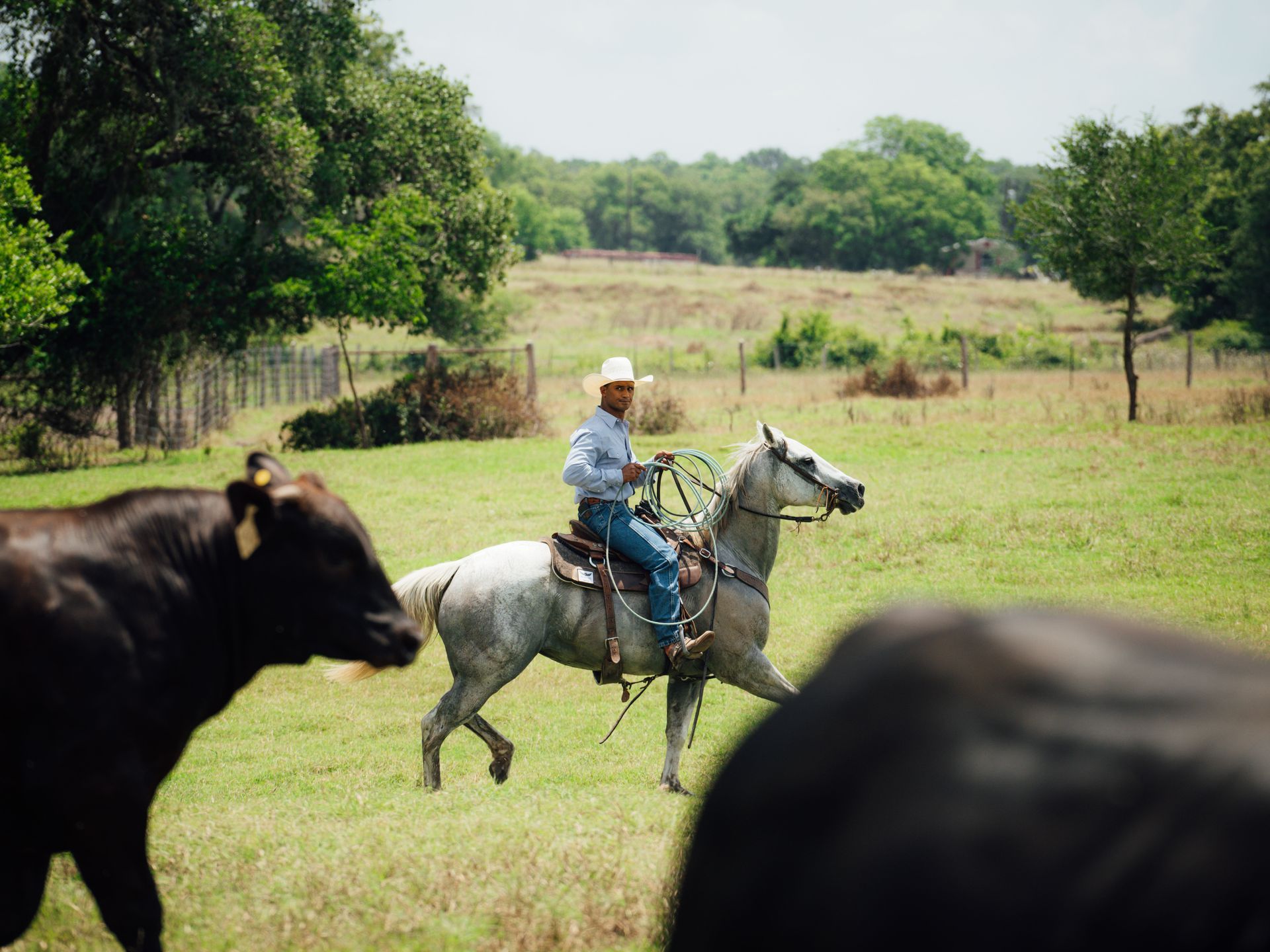 Ranch