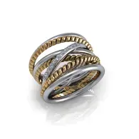 Interlocking silver and gold braided rings on a white background