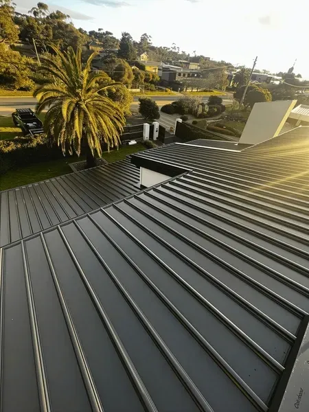 Dark gray metal roof with vertical lines, sunny outdoor setting, a palm tree and houses in the background.