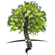 Site Icon