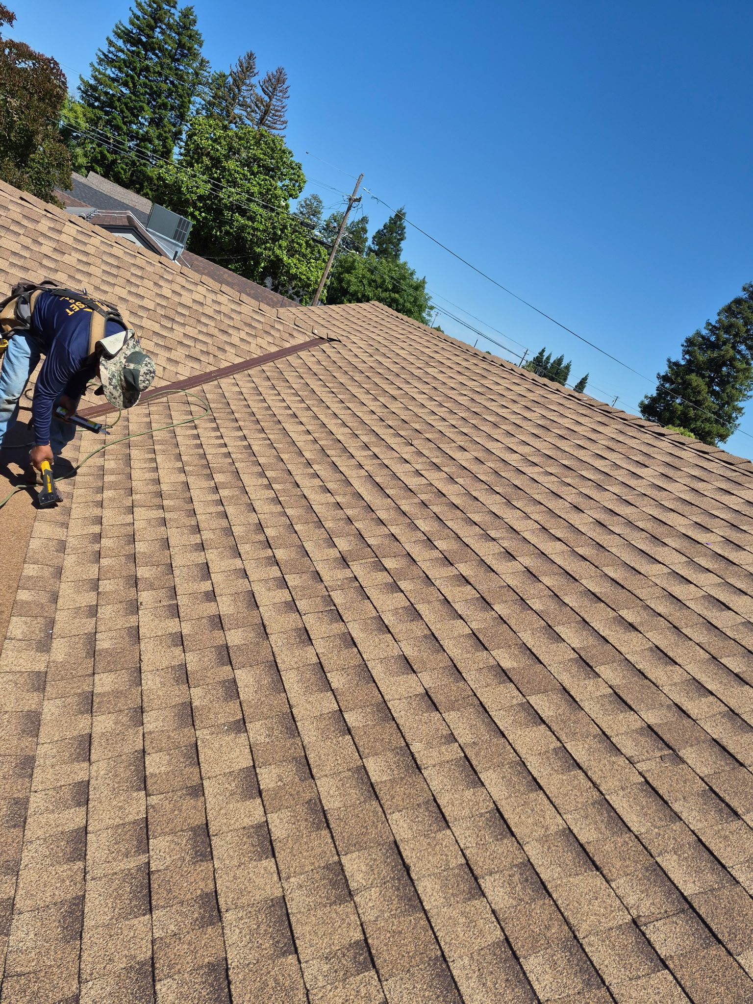 Workers on a steep tan shingle roof beside tall trees under a clear blue sky