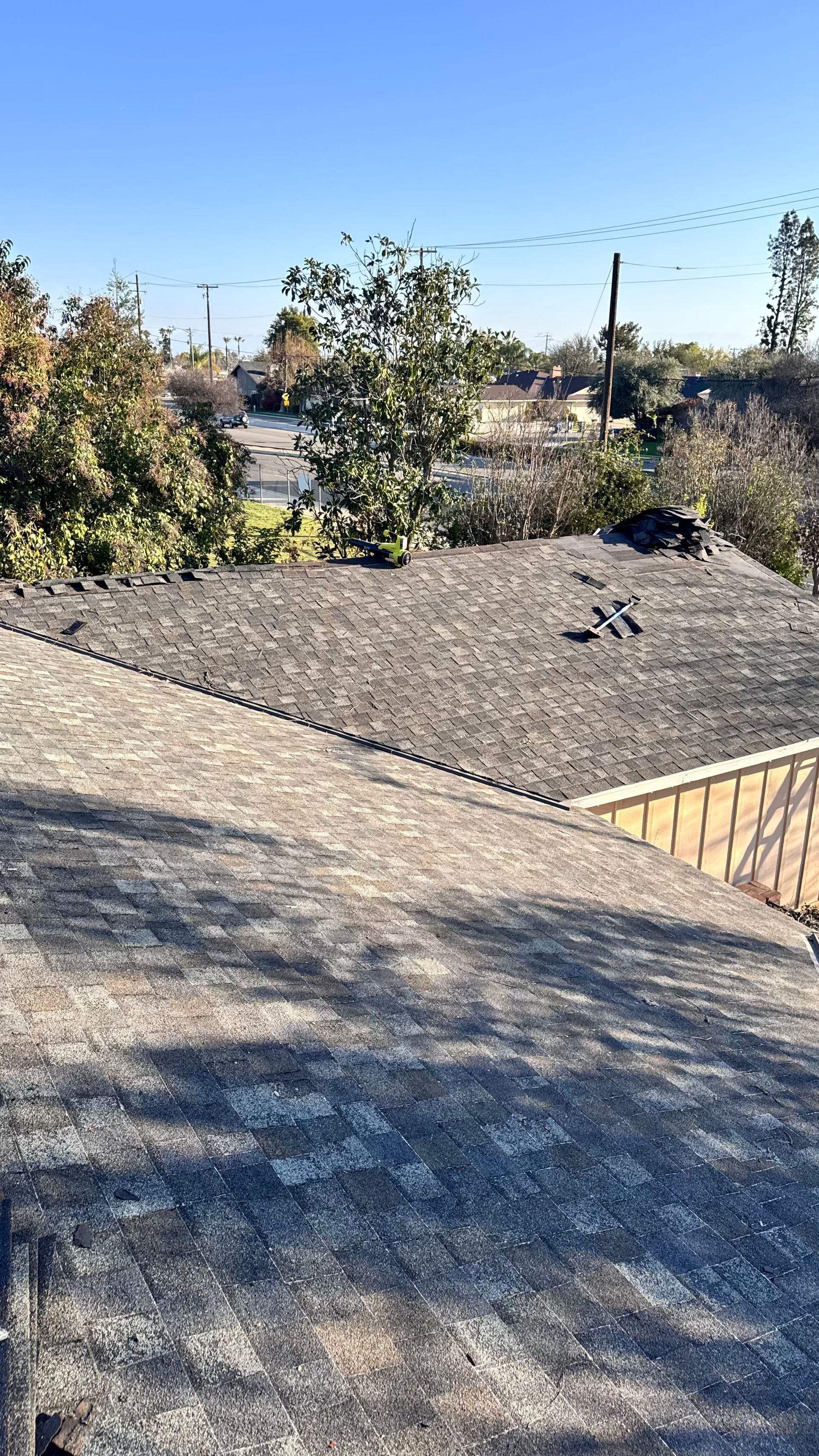 Gravel rooftop with shrubs and a clear blue sky in the background