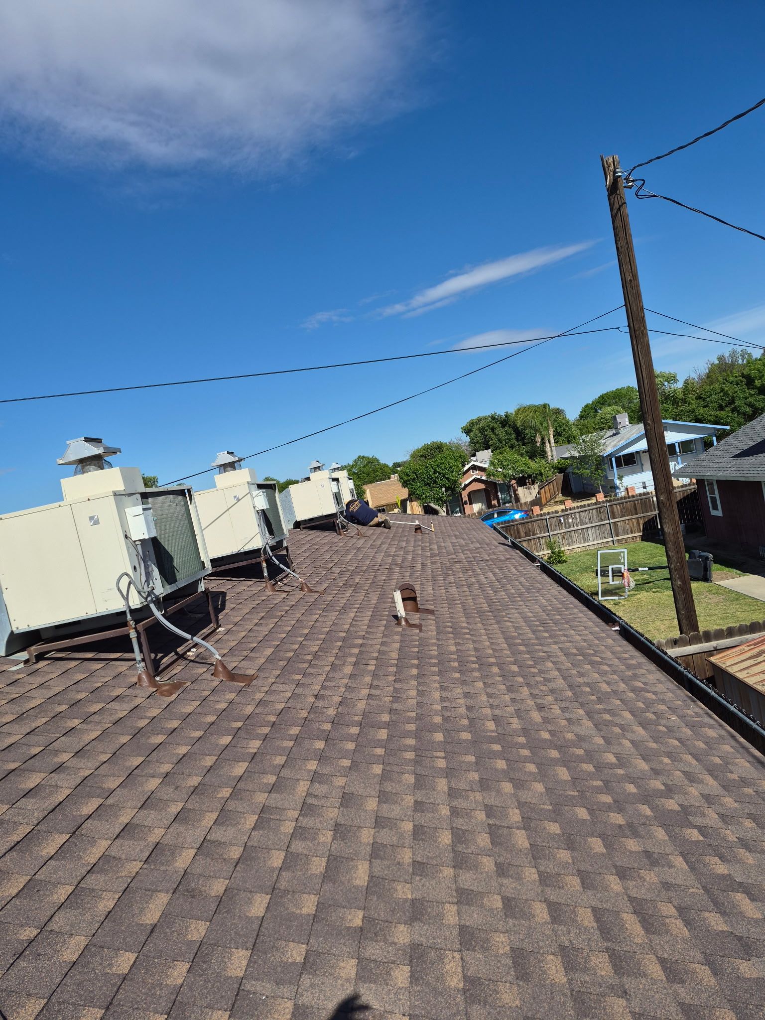 Rooftop with brown shingles, utility boxes, string lights, and a small dog under a bright blue sky.