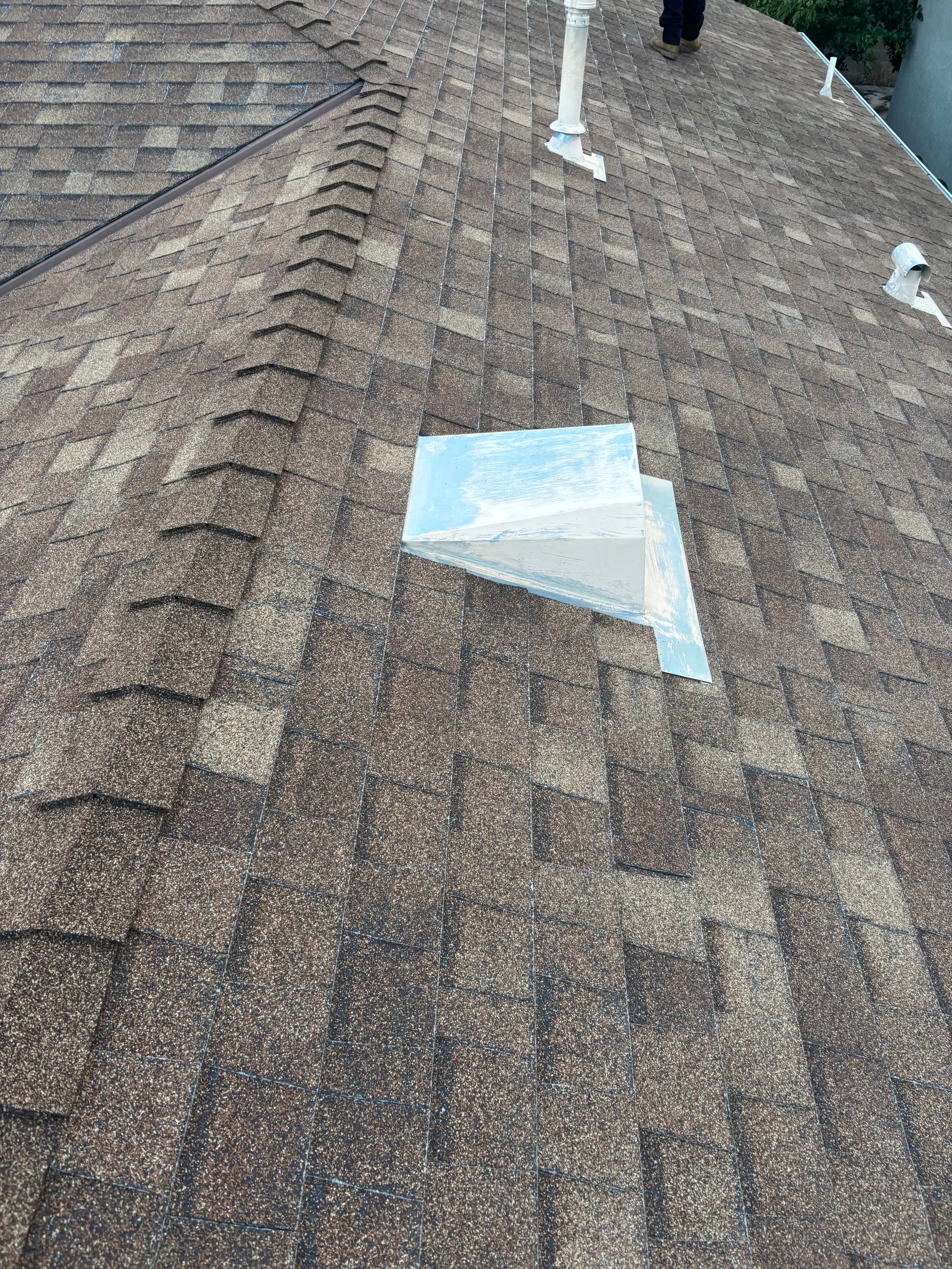 Roof shingles with a rectangular patch of blue tarp near the ridge vents
