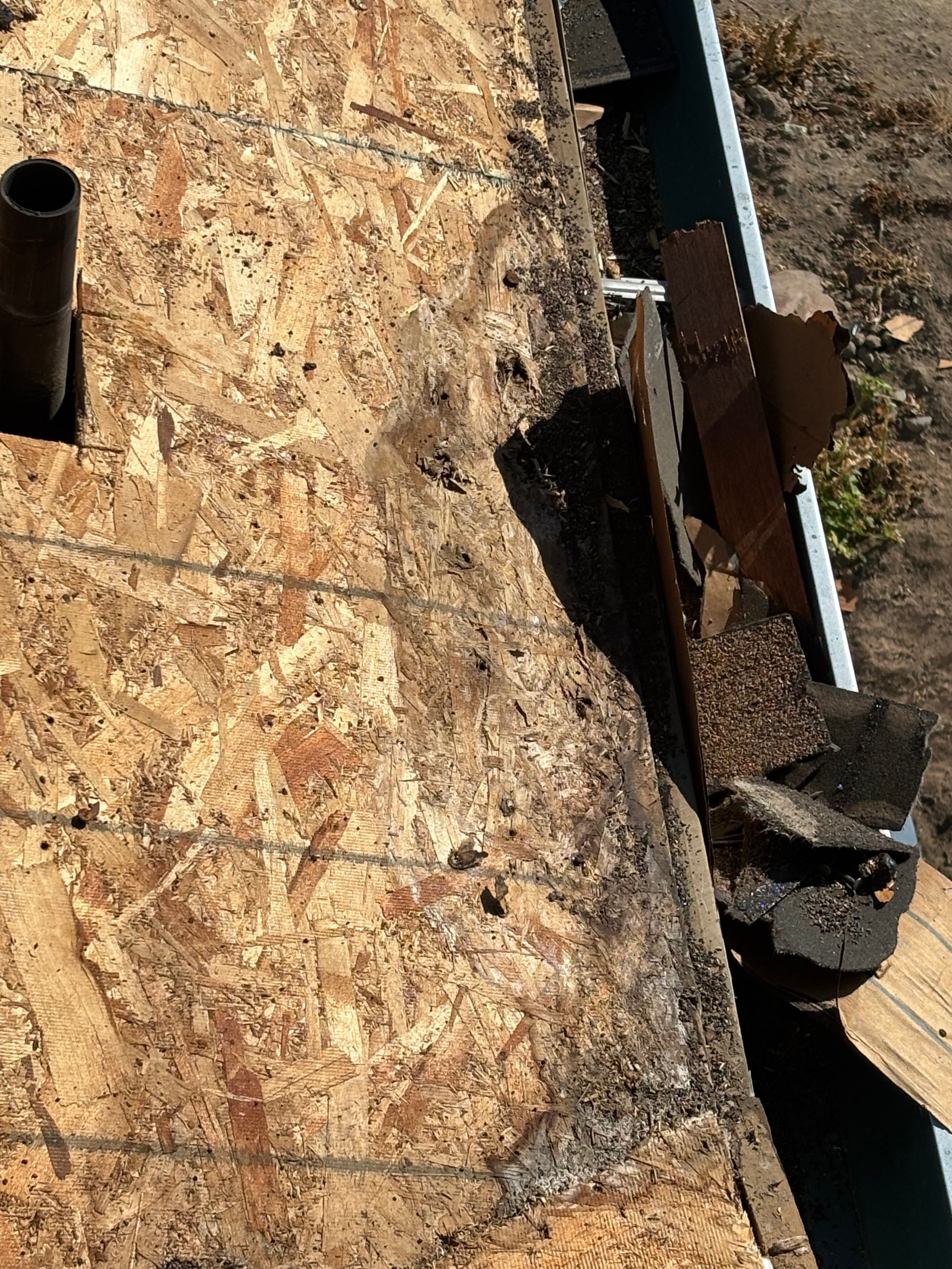 Close-up of weathered wooden roof decking with exposed beams and debris at the edge.