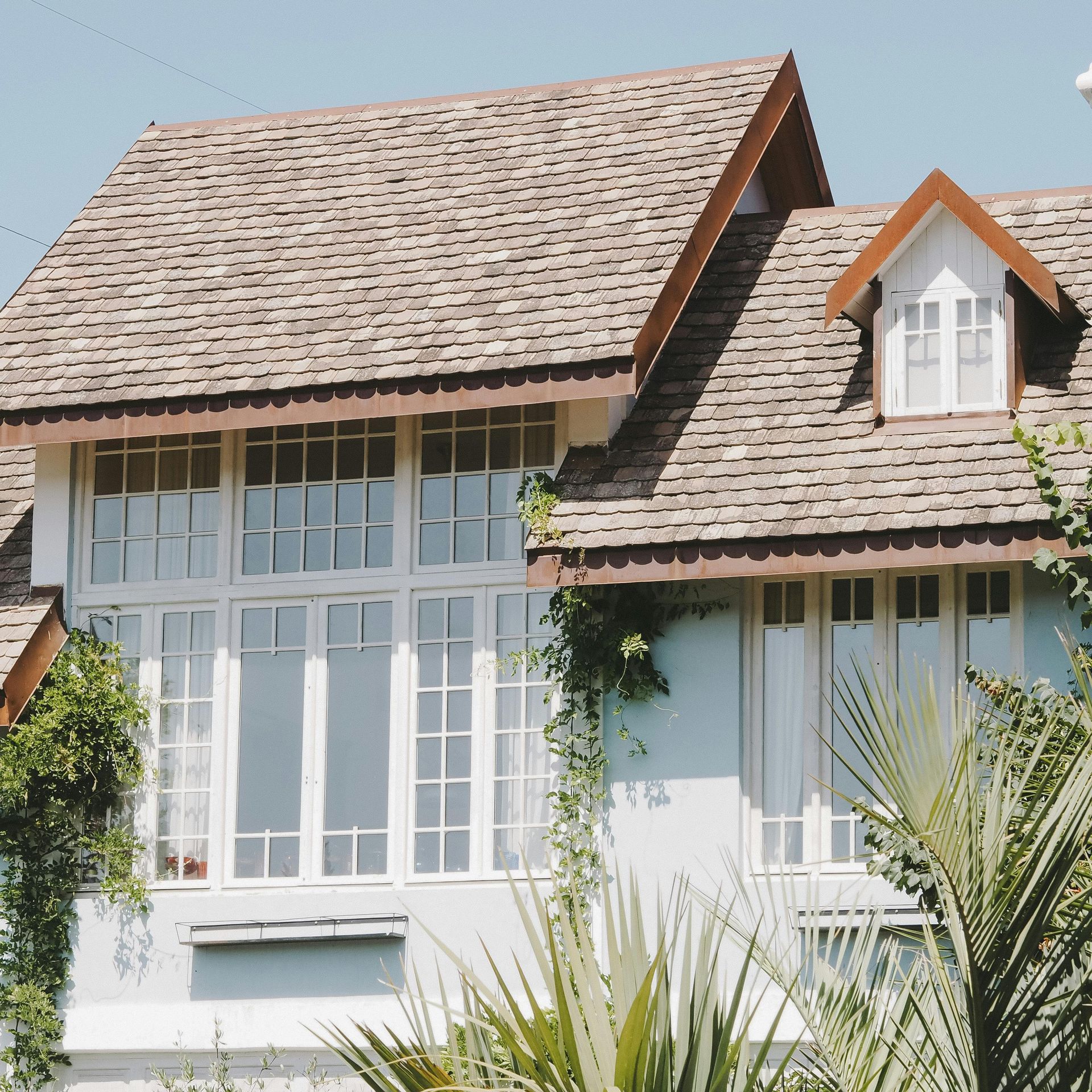 White house with steep shingle roof, large front windows, and tropical plants in the foreground