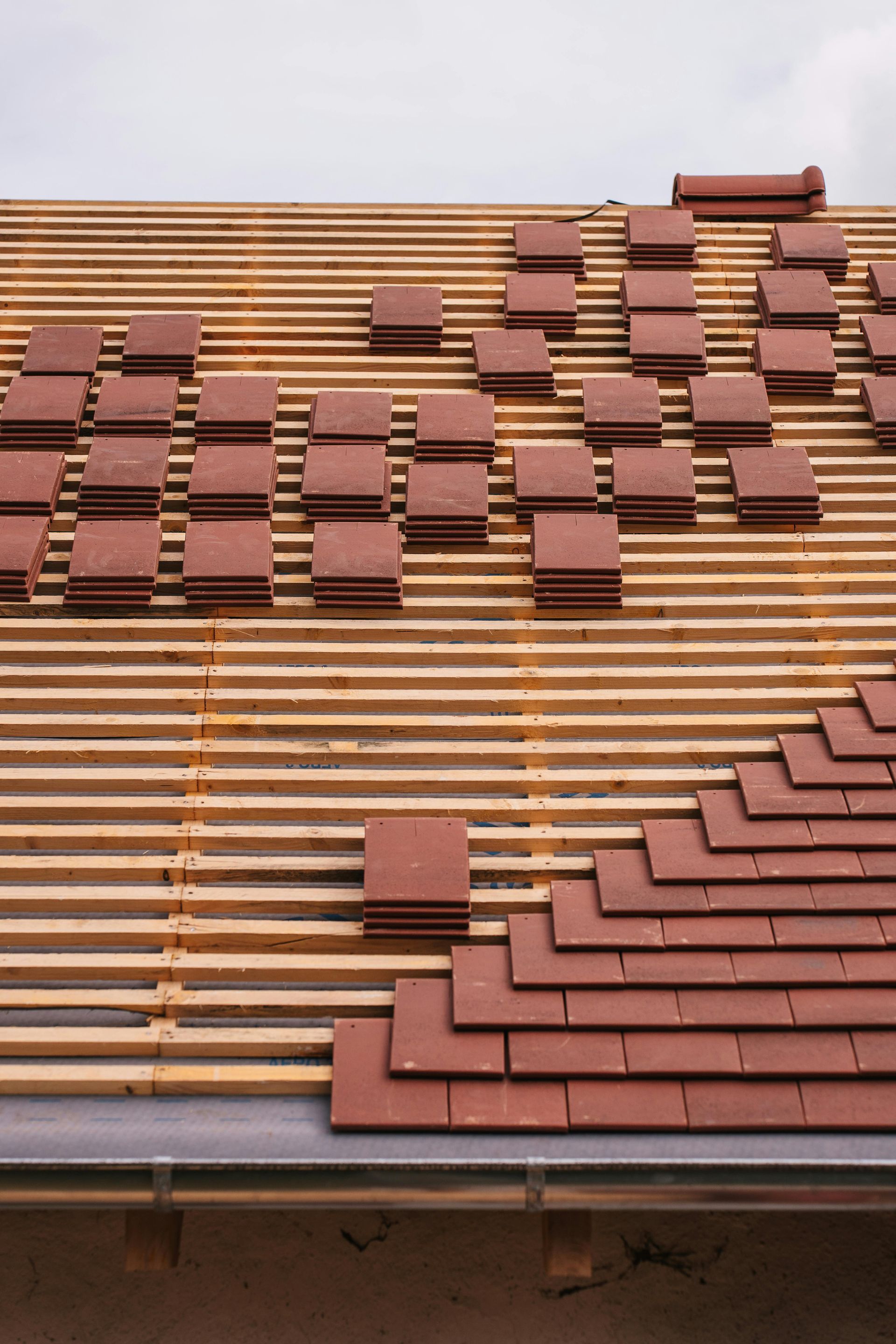 Roofer arranging red shingles on a sloped roof with exposed wooden slats