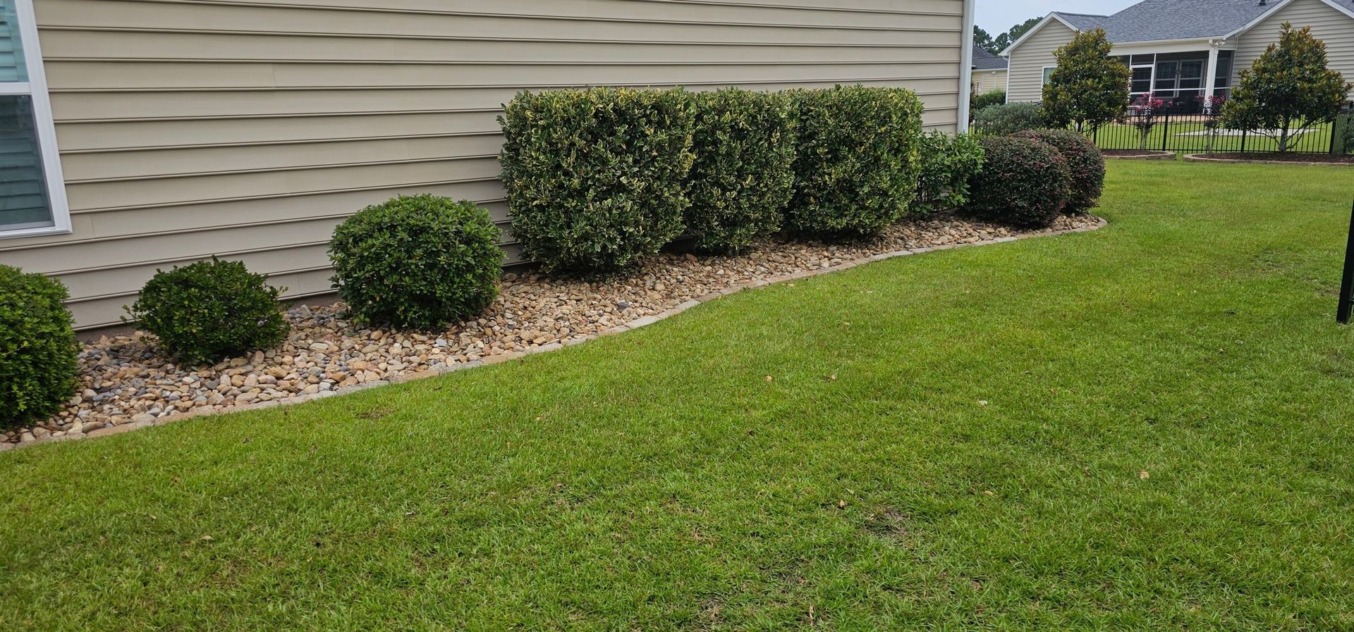 A manicured garden bed with several shrubs against the beige siding of a house, bordering a green lawn.