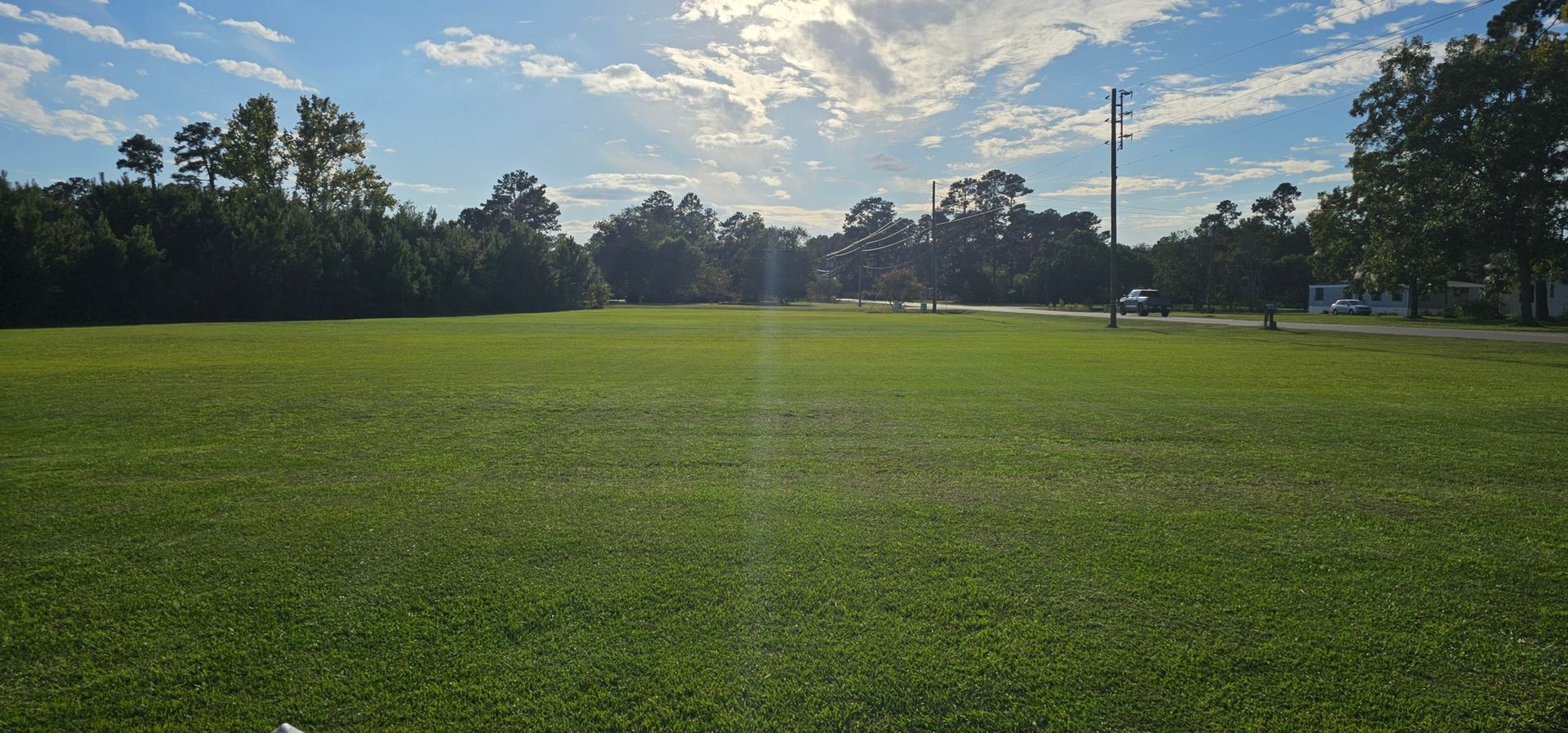 A grassy field under a bright, cloudy sky with a row of trees in the background and a utility pole on the right.