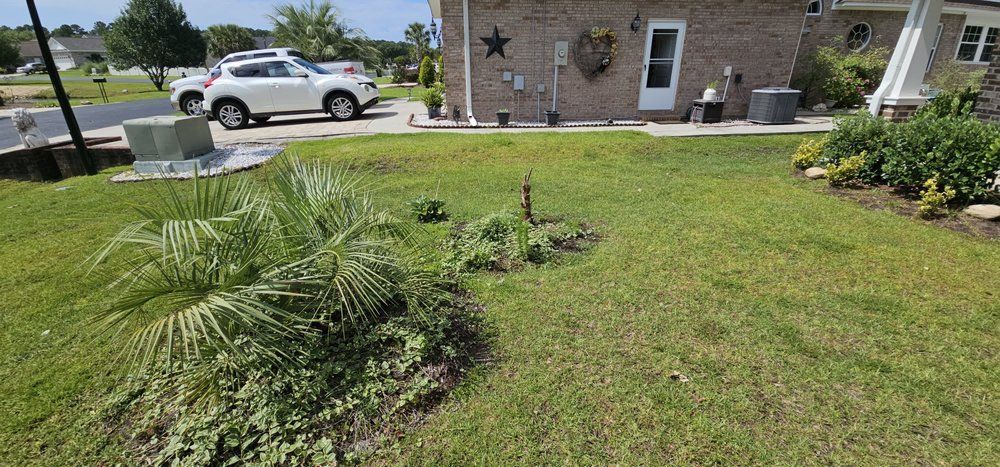 A front lawn with a palm plant, a garden bed, and a brick house with a white car parked in the driveway.
