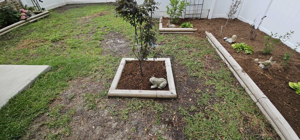 A backyard garden features a square tree planter, a rectangular garden bed, a patchy lawn, and a small stone frog figurine.