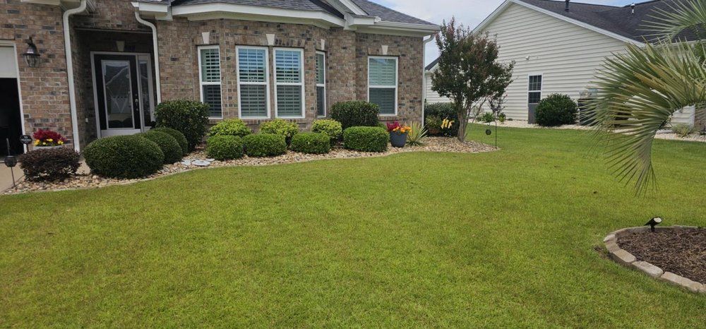 A tan brick house with a well-manicured lawn, rounded shrubs, and a small palm tree in the front yard.