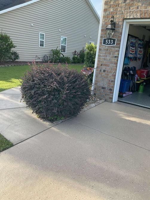 A dark, rounded shrub sits on a concrete driveway corner next to a brick house with an open garage and address 533.