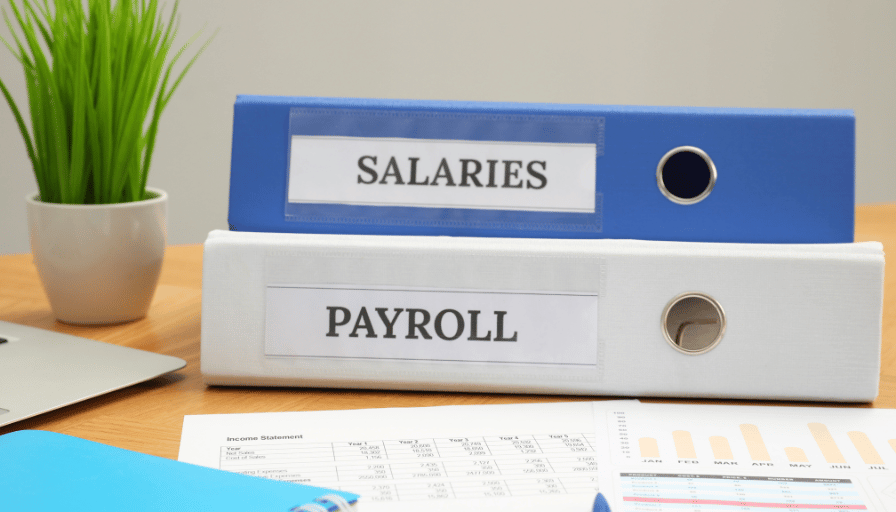Blue and white binders labeled “SALARIES” and “PAYROLL” beside a small potted plant on a desk