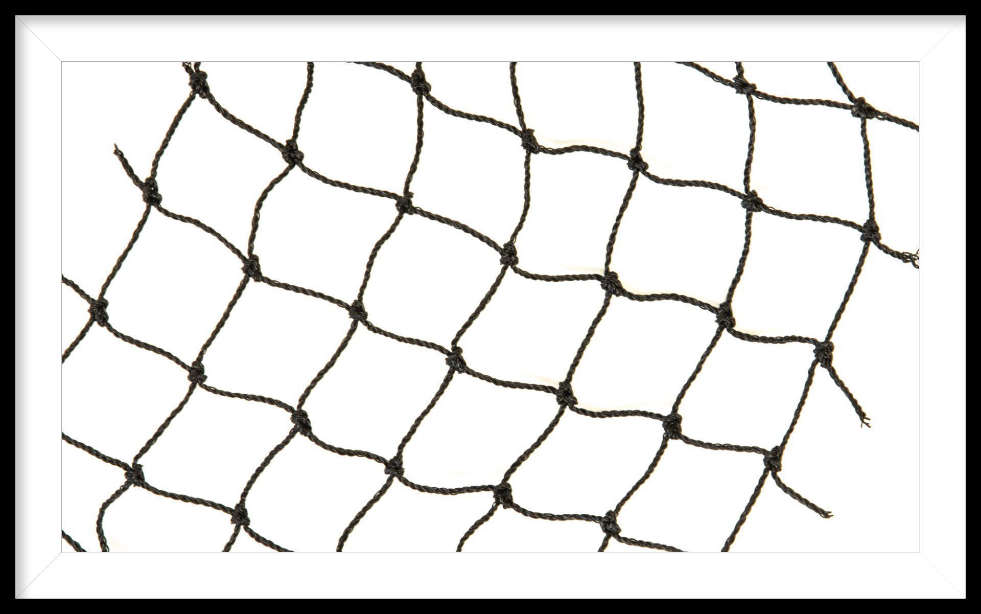 25 x 50 netting 3/4 inch