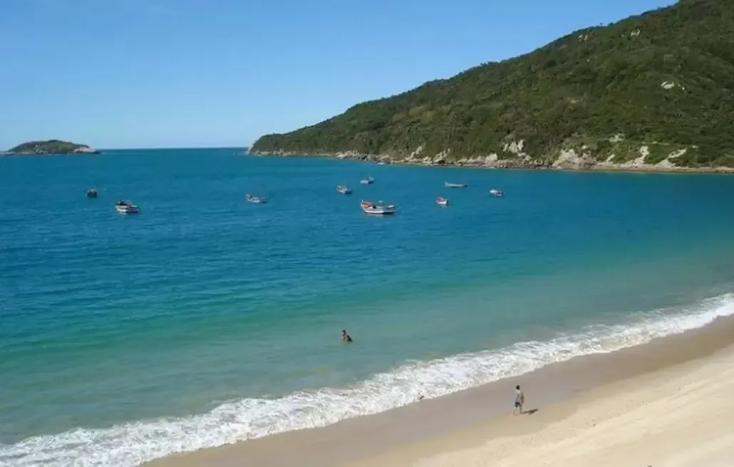 uma praia com barcos na água e uma colina ao fundo