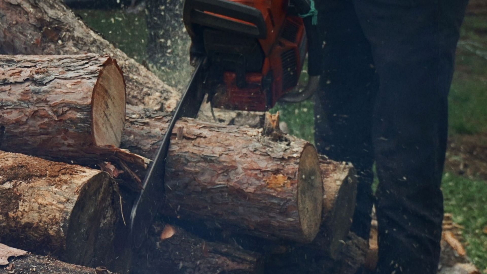 Tree cutting crew safely lowering large trunk section with crane