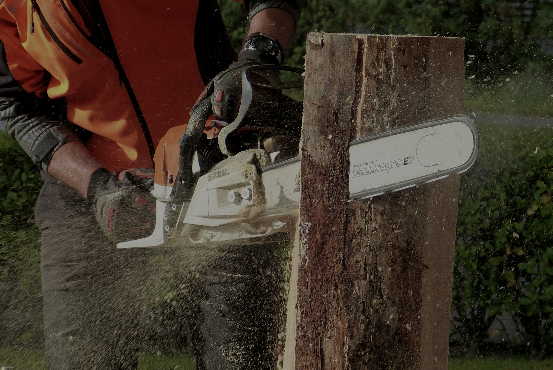Tree removal crew clearing space for residential yard improvement