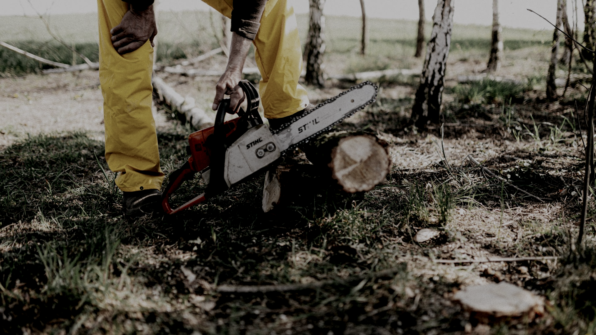 An arborist in south Tampa, FL preparing his chainsaw to go up a tree