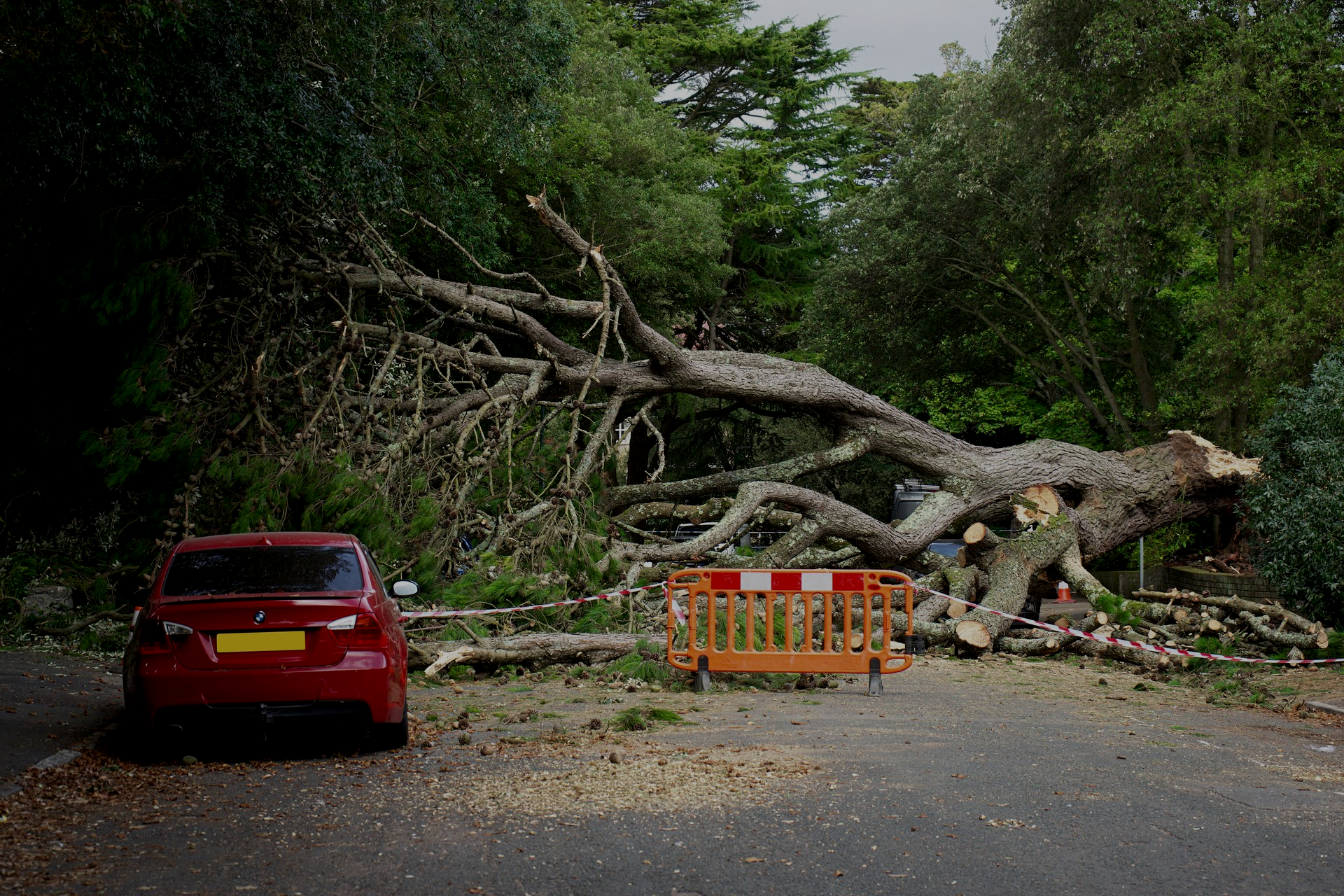 Emergency tree removal after storm damage in residential property