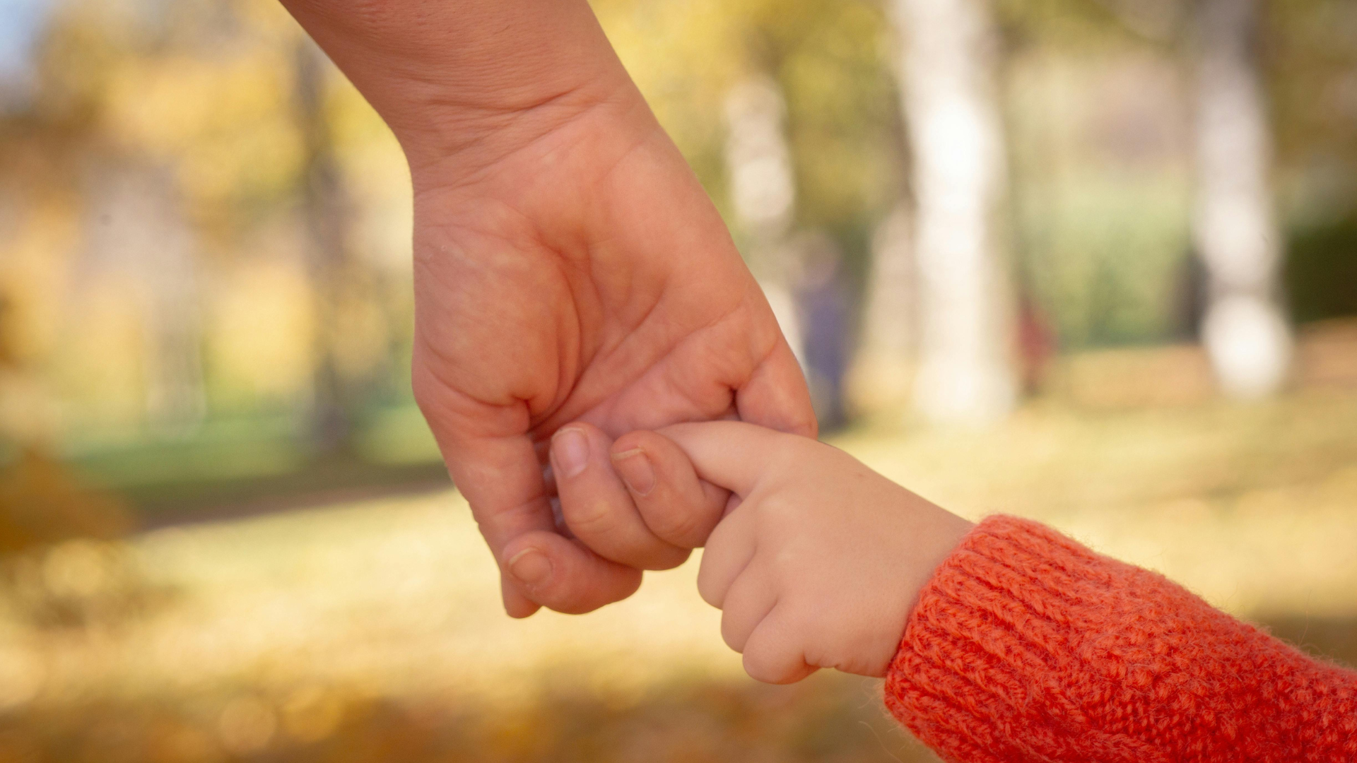 Adult and child holding hands outdoors, with a blurred autumn background