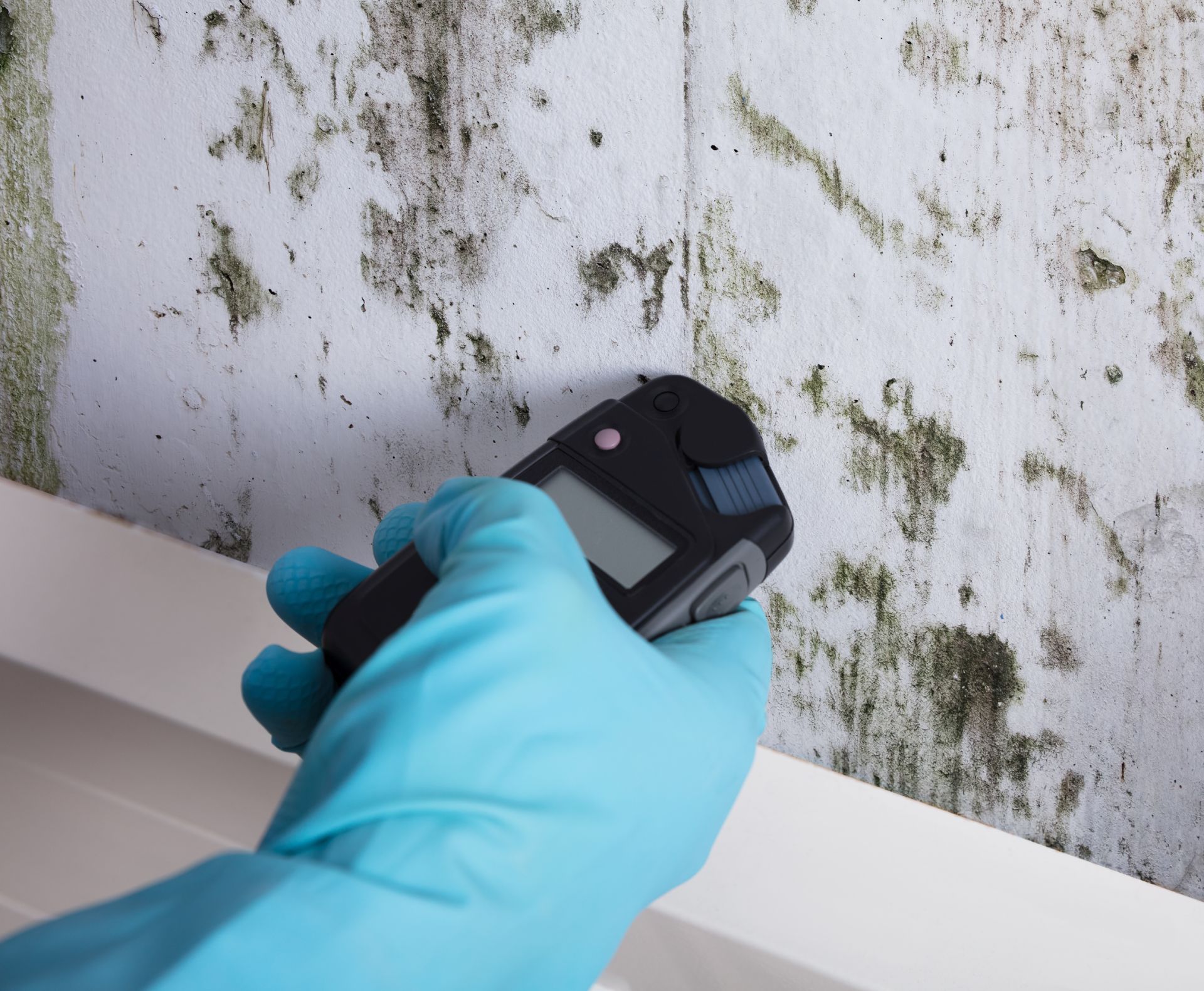 Gloved hand holding a moisture meter against a moldy white wall beneath a shelf