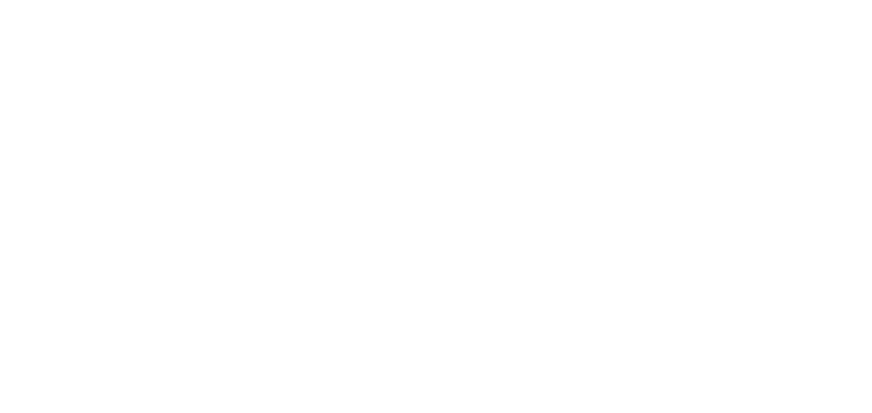 SPEDIZIONI E TRASLOCHI SERGIO MITTICA-LOGO Immagine bianca vuota