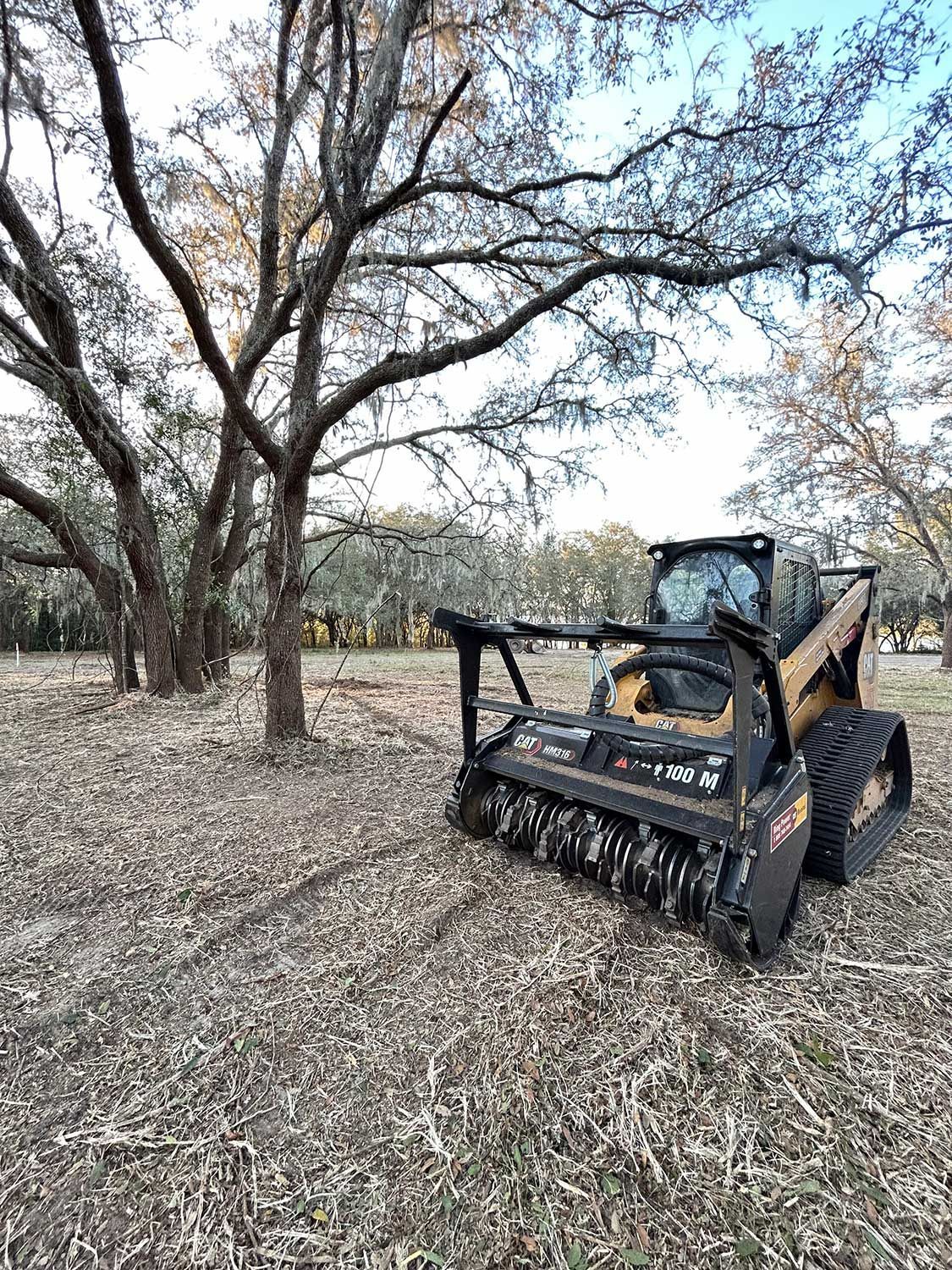 forestry mulching