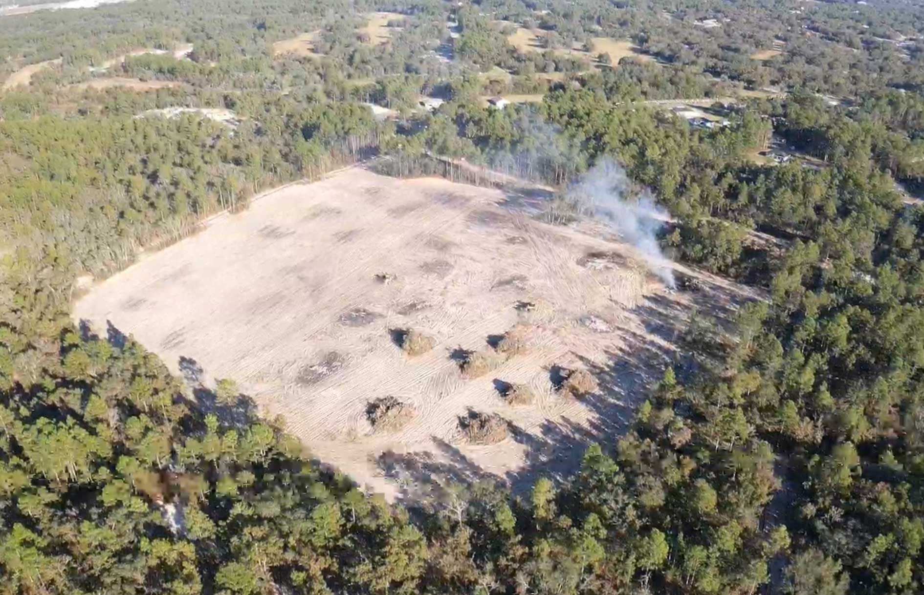 forestry mulching