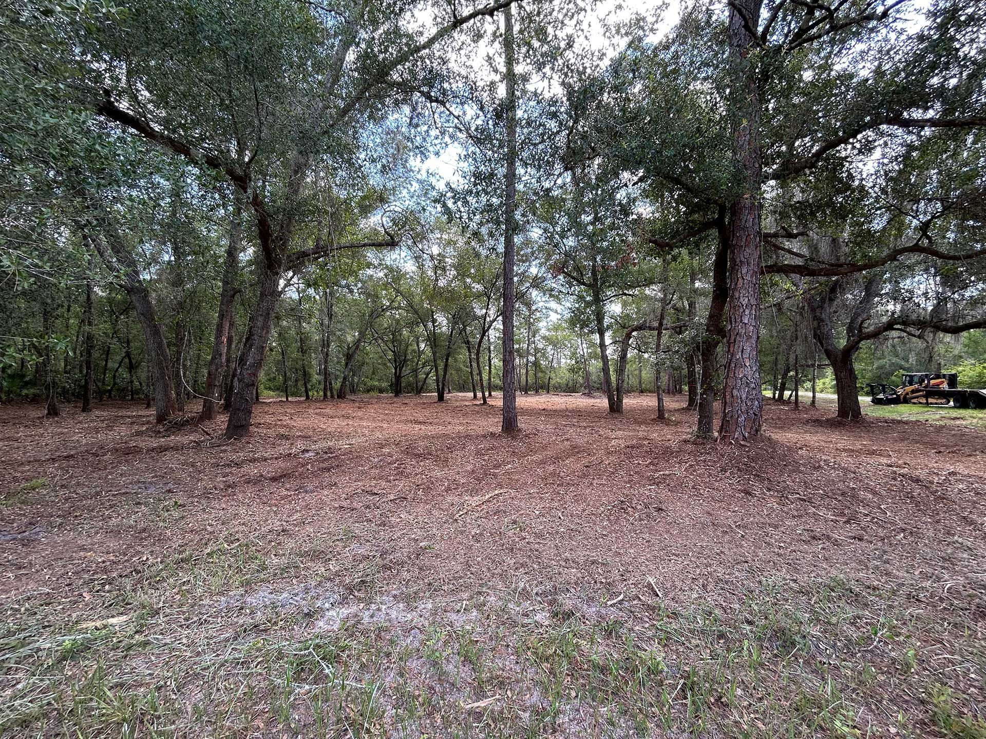forestry mulching