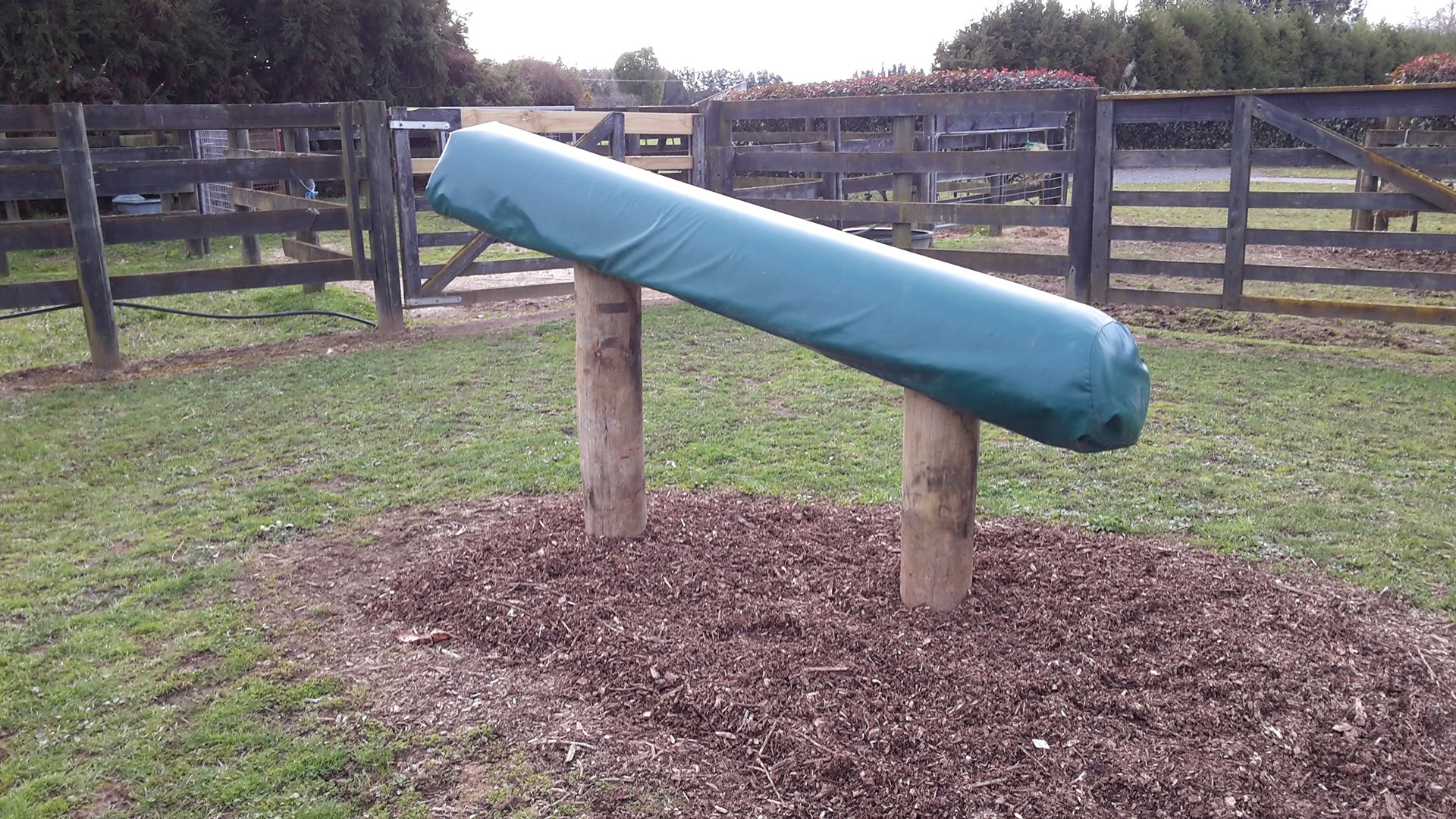 Services at SG Stud Boutique Equine Breeding Services